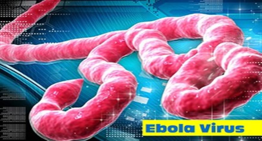 Ebola Virus Disease Evd