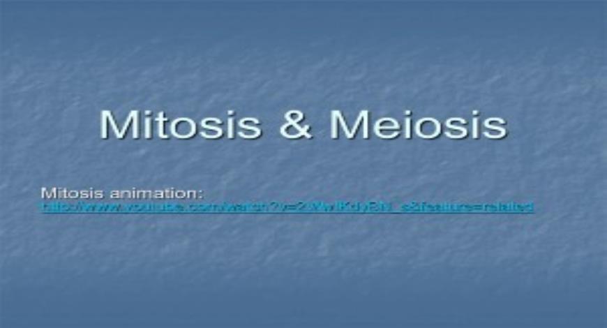 Free Download Meiosis And Mitosis Powerpoint Presentation