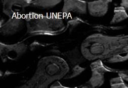 Abortion-UNEPA Powerpoint Presentation