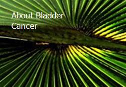 About Bladder Cancer Powerpoint Presentation