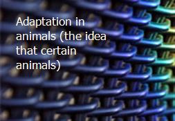 Adaptation in animals (the idea that certain animals) Powerpoint Presentation