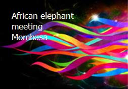 African elephant meeting Mombasa Powerpoint Presentation