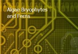 Algae Bryophytes and Ferns Powerpoint Presentation