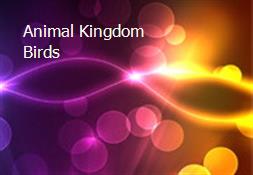 Animal Kingdom Birds Powerpoint Presentation