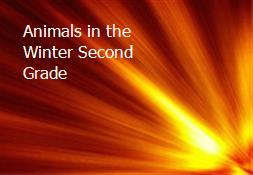 Animals in the Winter Second Grade Powerpoint Presentation