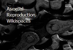 Asexual Reproduction-Wikispaces Powerpoint Presentation