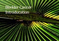 Bladder Cancer Introducation Powerpoint Presentation