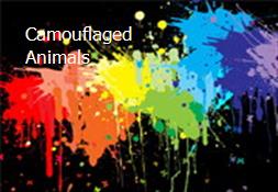 Camouflaged Animals Powerpoint Presentation