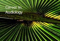 Career in Audiology Powerpoint Presentation