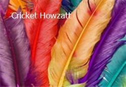 Cricket Howzatt Powerpoint Presentation