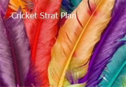 Cricket Strat Plan Powerpoint Presentation