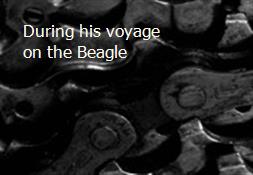 During his voyage on the Beagle Powerpoint Presentation