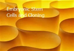 Embryonic Stem Cells and Cloning Powerpoint Presentation