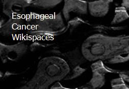 Esophageal Cancer - Wikispaces Powerpoint Presentation