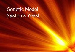 Genetic Model Systems Yeast  Powerpoint Presentation