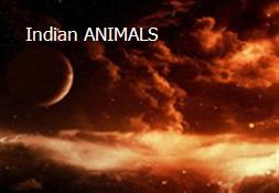 Indian ANIMALS Powerpoint Presentation