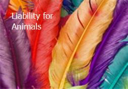 Liability for Animals Powerpoint Presentation