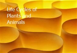 Life Cycles of Plants and Animals Powerpoint Presentation