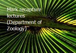 Mark recapture lectures (Department of Zoology) Powerpoint Presentation