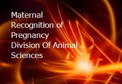 Maternal Recognition of Pregnancy-Division Of Animal Sciences Powerpoint Presentation