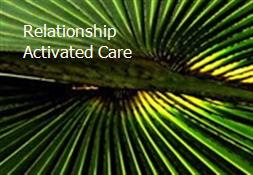 Relationship Activated Care Powerpoint Presentation