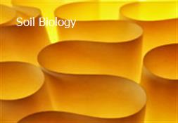 Soil Biology Powerpoint Presentation