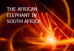 THE AFRICAN ELEPHANT IN SOUTH AFRICA Powerpoint Presentation