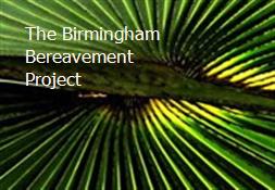 The Birmingham Bereavement Project Powerpoint Presentation