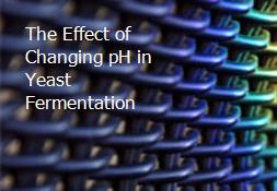 The Effect of Changing pH in Yeast Fermentation Powerpoint Presentation