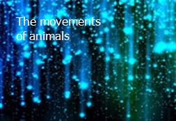 The movements of animals Powerpoint Presentation