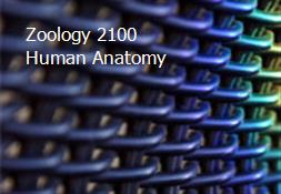 Zoology 2100 Human Anatomy Powerpoint Presentation