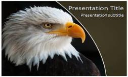 Eagles Free Ppt Template