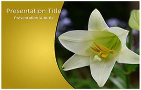 Free Whilte Tulip PowerPoint Template