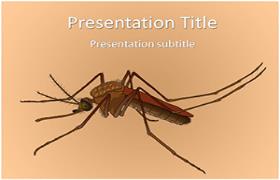 Free Female Mosquito PowerPoint Template