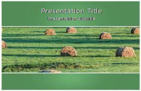 Free Bales PowerPoint Template