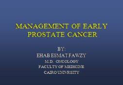 MANAGEMENT OF EARLY PROSTATE CANCER PowerPoint Presentation