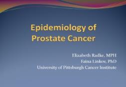 Epidemiology of Prostate Cancer PowerPoint Presentation