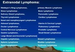 Testicular lymphoma PowerPoint Presentation