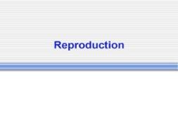 Intro (MITOSIS)(Asexual Reproduction) PowerPoint Presentation