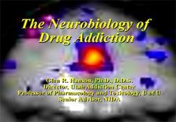 The Neurobiology of Drug Addiction PowerPoint Presentation