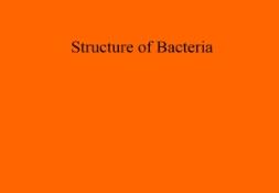 About Structure of Bacteria PowerPoint Presentation