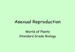 Asexual Reproduction-Wikispaces PowerPoint Presentation