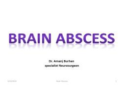 ABOUT BRAIN ABSCESS PowerPoint Presentation