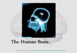 Human brain-Life Sciences Outreach PowerPoint Presentation