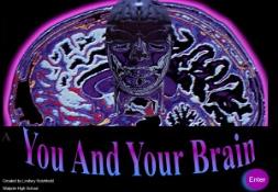 You and Your Brain PowerPoint Presentation