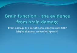 Brain function PowerPoint Presentation