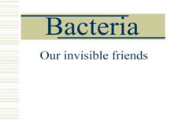 Bacteria PowerPoint Presentation