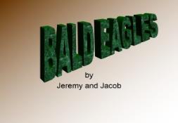 BALD EAGLES PowerPoint Presentation