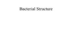 Bacterial Structure PowerPoint Presentation