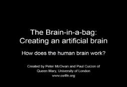 The Brain in a bag PowerPoint Presentation